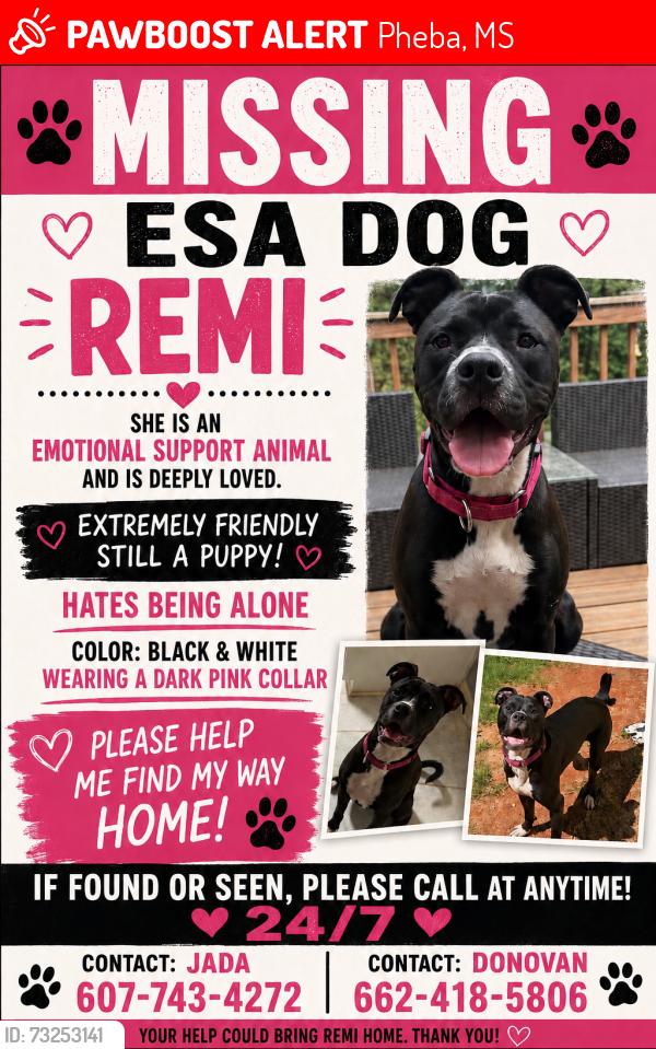 Lost Female Dog last seen Thompson Road and Berry rd, Pheba, MS 39755