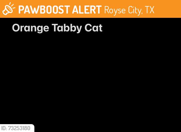 Found/Stray Unknown Cat last seen Ran across Erby Campbell by Walmart, ran into a field, Royse City, TX 75189