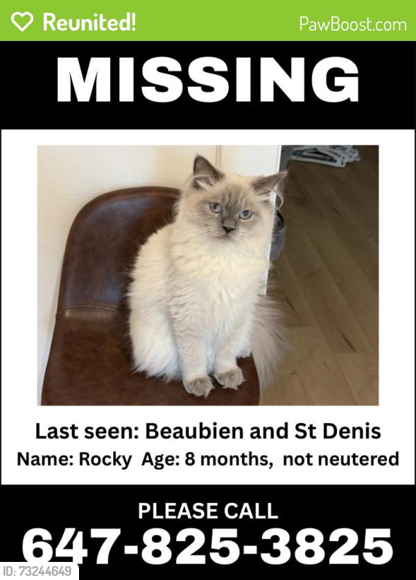 Reunited Male Cat last seen st denis and beaubien, Montréal, QC H2S 1S4