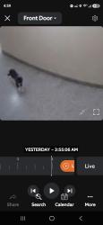 Found/Stray Unknown Cat last seen Key food supermarket, The Bronx, NY 10462