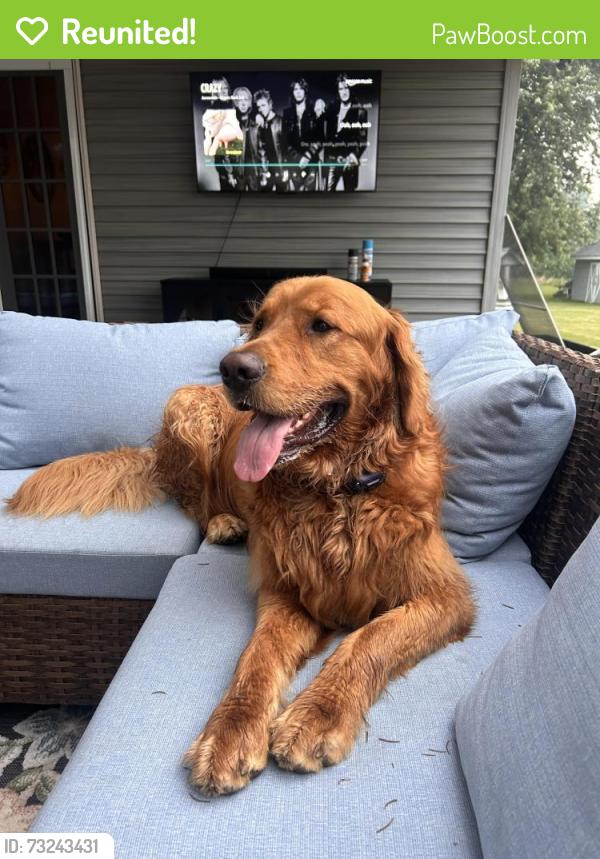 Reunited Male Dog last seen Grand River, Fowlerville, MI 48836