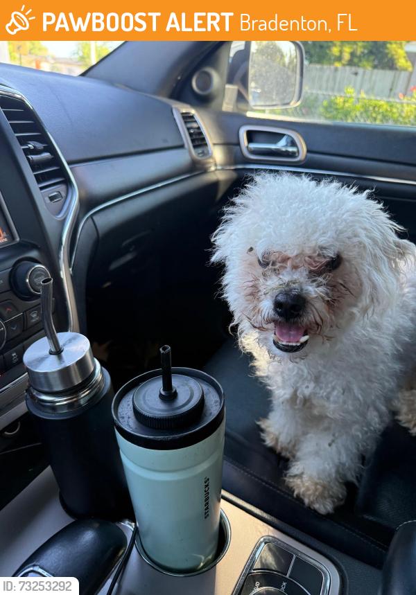 Found/Stray Male Dog last seen 21st st w, Bradenton, FL 34205