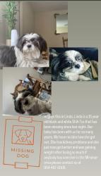 Reunited Female Dog last seen She was by Miramar elementary school, Miramar, FL 33023