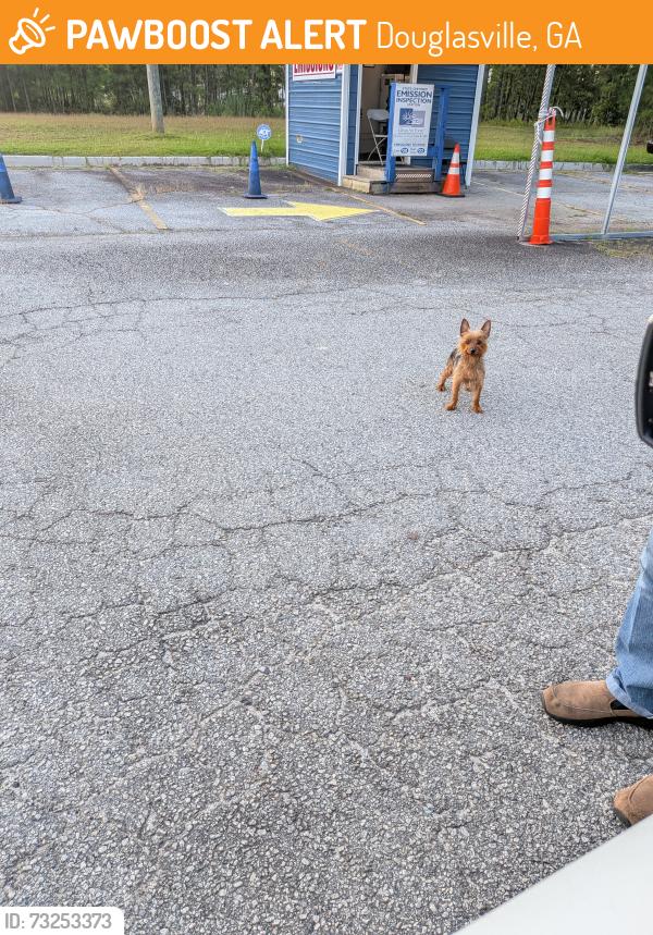 Found/Stray Male Dog last seen Genesis Emissions at the Exxon on Annawakee and Leola Rd, Douglasville, GA 30135