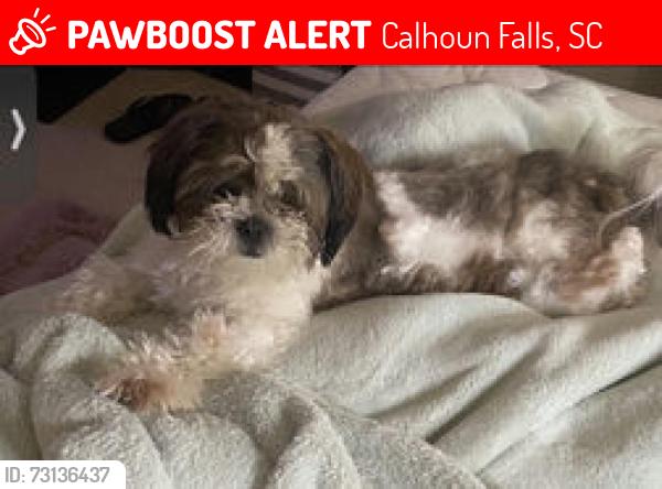 Lost Male Dog last seen Calhoun falls SC, Calhoun Falls, SC 29628