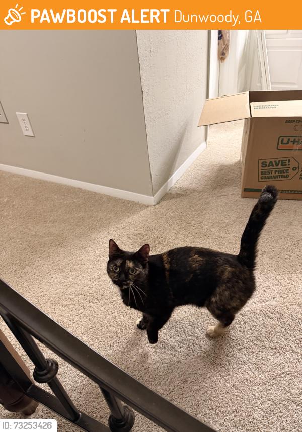 Found/Stray Female Cat last seen Dunwoody Crossing apmts, Dunwoody, GA 30338