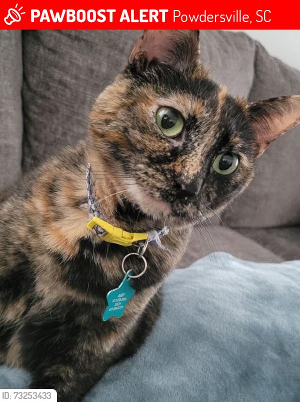 Lost Female Cat last seen By the playgound/mailboxes on Sweetgrass, Powdersville, SC 29673