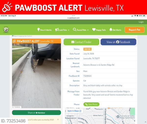 Lost Male Cat last seen Autumn Breeze Lane and Garden Ridge Rd, Lewisville, TX 75077