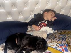 Lost Male Dog last seen 59th ave and northern are, Glendale, AZ 85302