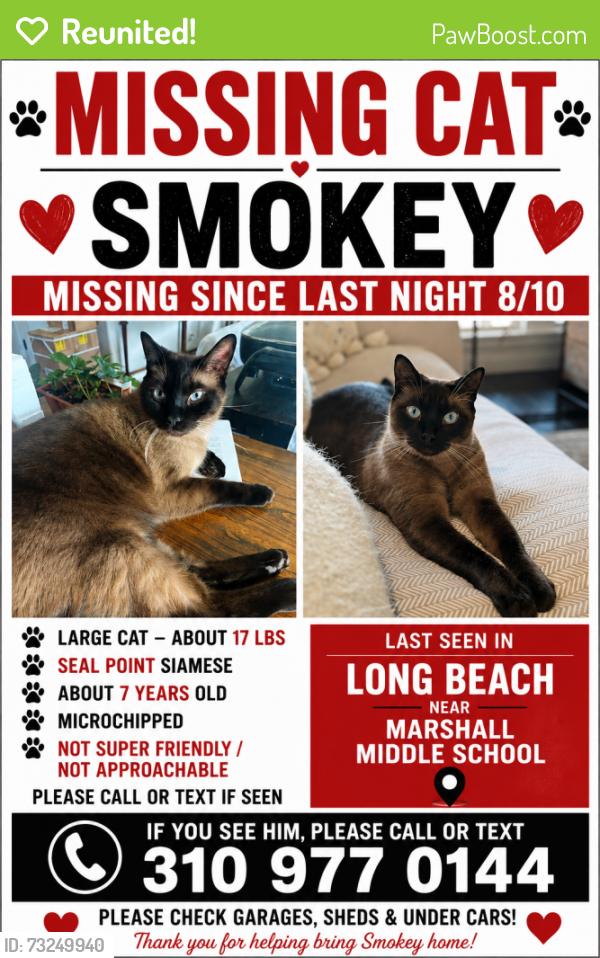 Reunited Male Cat last seen Lanai and San anseline, Long Beach, CA 90808