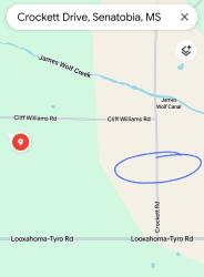 Found/Stray Female Dog last seen Looxahoma Tyro and Cliff Williams Rd, Looxahoma, MS 38668