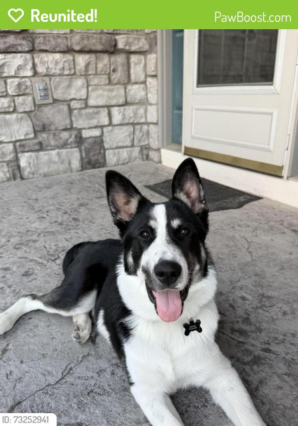 Reunited Male Dog last seen On the walking trail behind Briar Ridge Ct. Across the street from the Glen Oaks entrance, Castle Pines, CO 80108