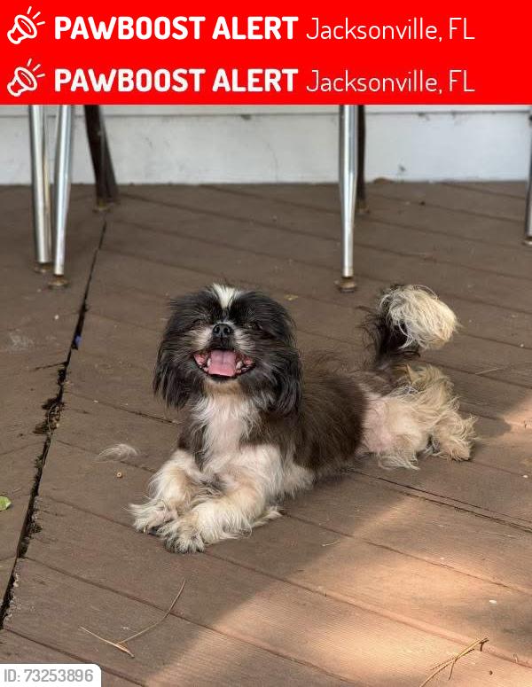 Lost Female Dog last seen Near, Jacksonville, FL 32257