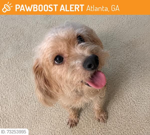 Found/Stray Male Dog last seen Near Cleveland Avenue, Atlanta, GA 30316, Atlanta, GA 30315
