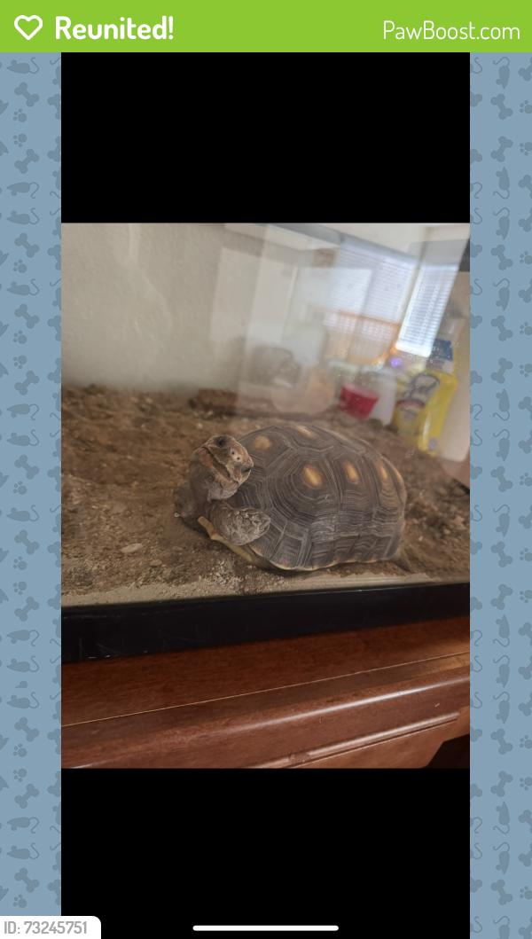 Reunited Male Reptile last seen Falena Ct and Chamiso by Luna, Victorville, CA 92392