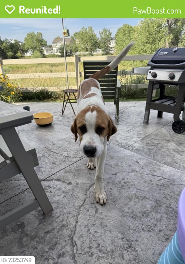 Reunited Male Dog last seen Near E 54th Pl, Denver, CO 80249, USA, Denver, CO 80249