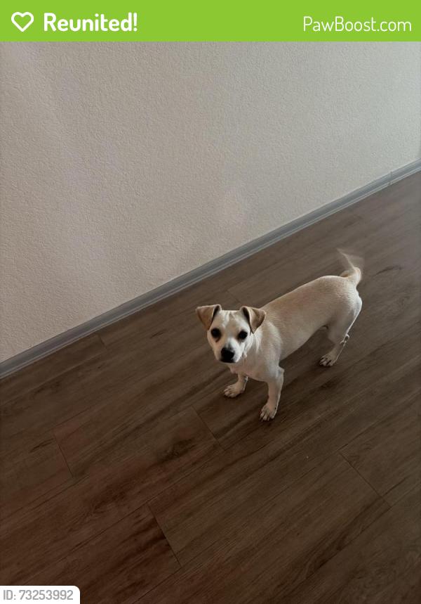 Reunited Male Dog last seen Near park st, Baytown, TX 77520