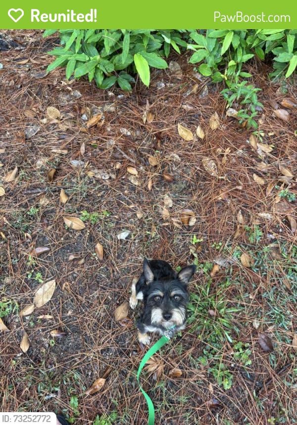 Reunited Male Dog last seen Park at Armand Bayou apmts, Houston, TX 77058