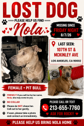 Lost Female Dog last seen Near 107/mckinley, Los Angeles, CA 90002