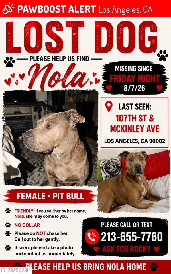 Lost Female Dog last seen Near 107/mckinley, Los Angeles, CA 90002