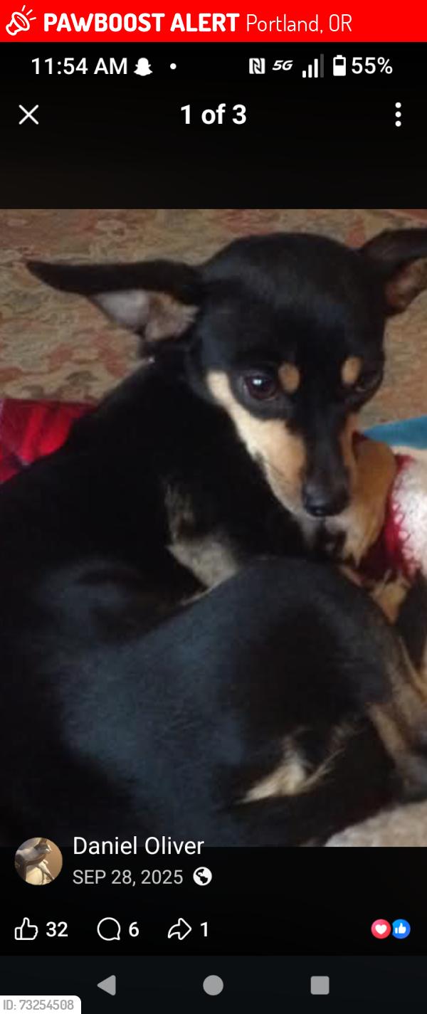 Lost Male Dog last seen Near Glisan, Portland, OR 97213
