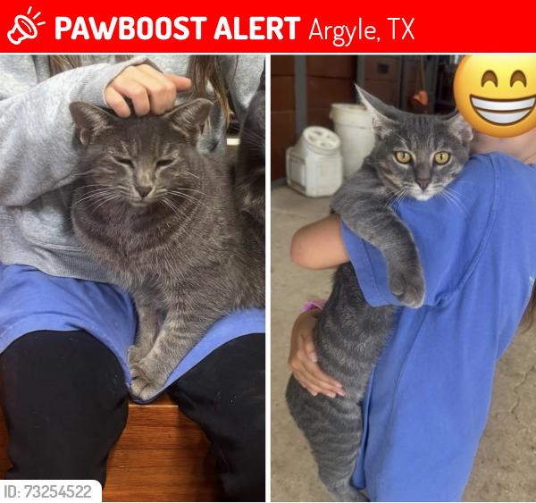 Lost Male Cat last seen Hickory Hill and Copper Canyon Road, Argyle, TX 76226