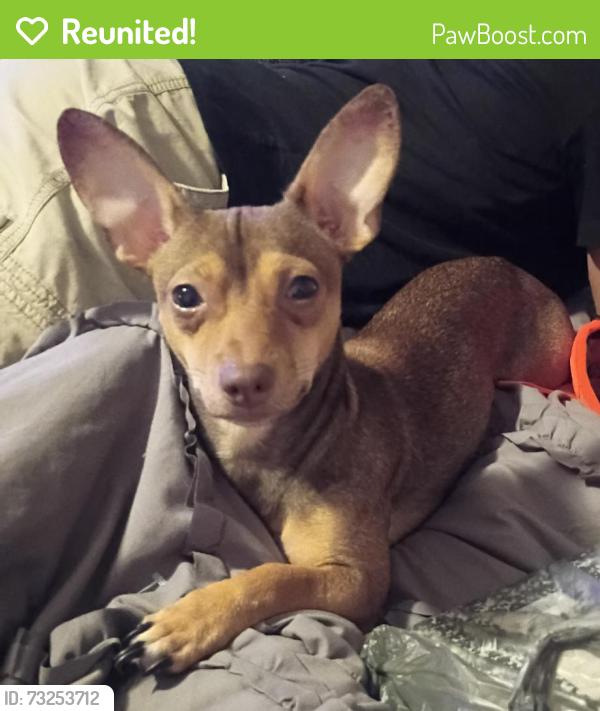 Reunited Female Dog last seen Near Mustang Dr, Richmond, TX 77469, USA, Richmond, TX 77469
