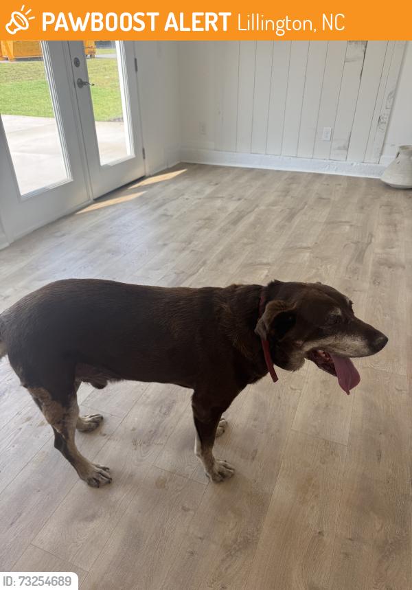 Found/Stray Male Dog last seen Mcdougald road, Lillington, NC 27546