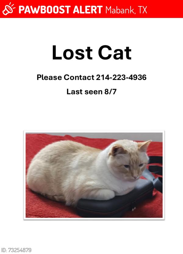 Lost Male Cat last seen brookshires, Mabank, TX 75147