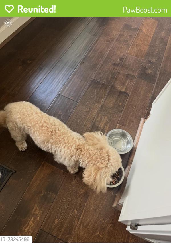 Reunited Male Dog last seen Colonel court dr, Richmond, TX 77406