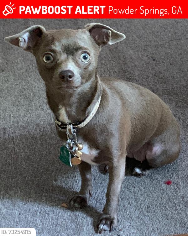 Lost Female Dog last seen Heritage crossing dr., Powder Springs, GA 30127