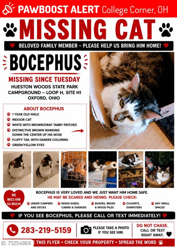 Lost Male Cat last seen Houston Woods campground, College Corner, OH 45003