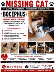 Lost Male Cat last seen Houston Woods campground, College Corner, OH 45003