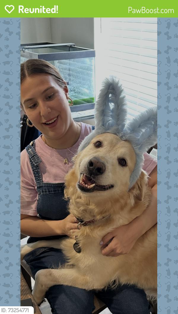 Reunited Male Dog last seen Kelley Blvd, Carrollton, TX 75006