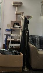Reunited Male Cat last seen 2nd St, Lexington, NC 27292