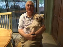 Lost Male Dog last seen Fairfield and Craycroft, Catalina Foothills, AZ 85750