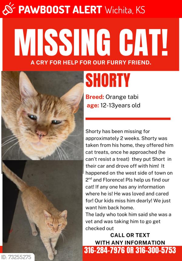 Lost Male Cat last seen Second st and Florence st, Wichita, KS 67212