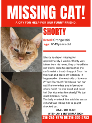 Lost Male Cat last seen Second st and Florence st, Wichita, KS 67212