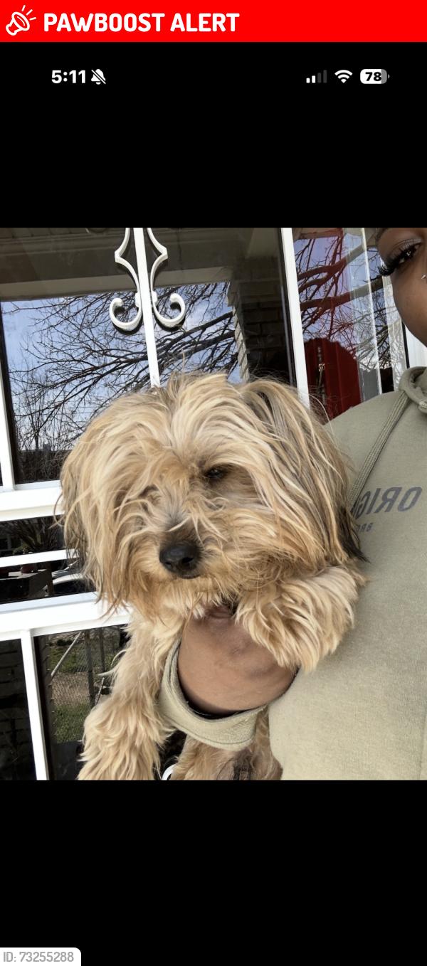 Lost Unknown Dog last seen Grant Circle, Northwest Washington DC, St. Johns County, FL 32033