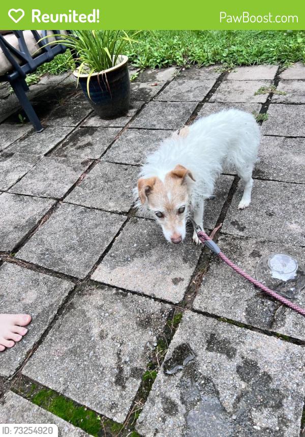 Reunited Unknown Dog last seen Chambers Park, Westmoreland County, PA 15085