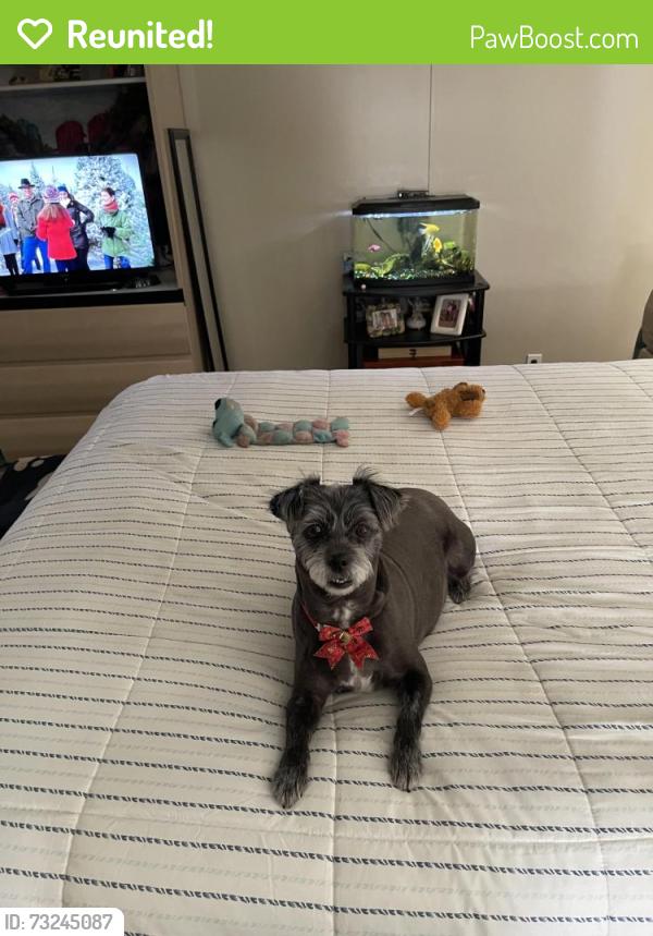 Reunited Female Dog last seen South Bay, Fort Myers, FL 33908