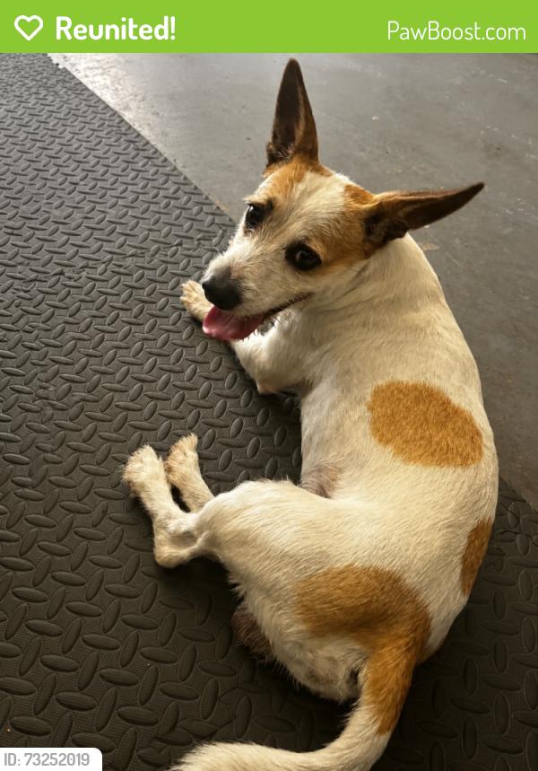 Reunited Male Dog last seen Haverhill & Gun Club (On Bosque Lane), West Palm Beach 33415, West Palm Beach, FL 33415