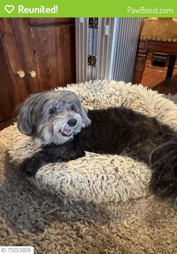 Reunited Male Dog last seen Olney Avenue, Philadelphia, PA 19120