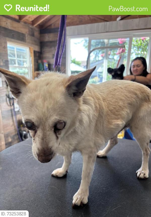 Reunited Male Dog last seen Flint and Guluzzo, San Jose, CA 95148