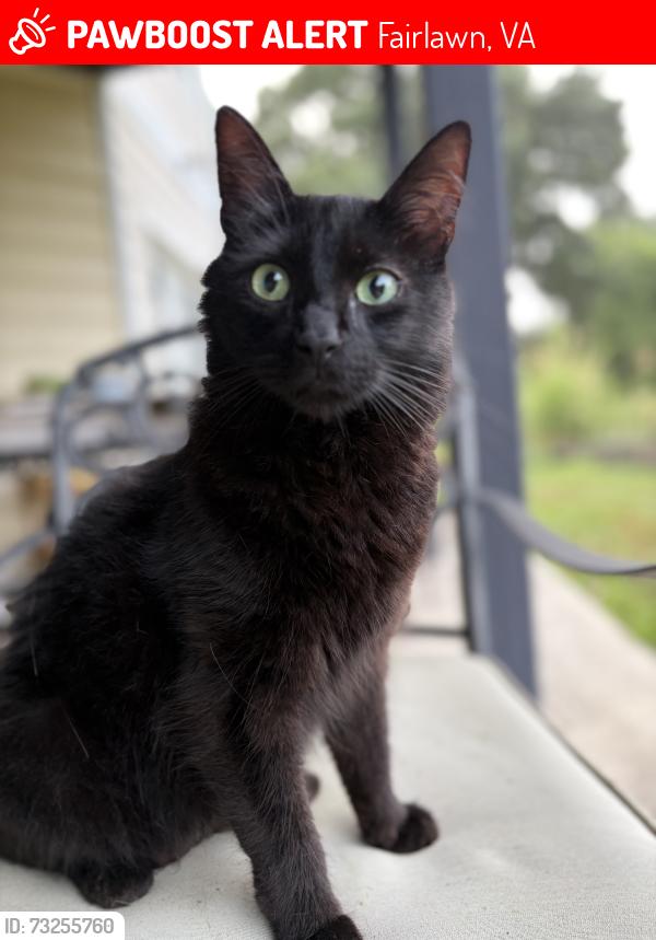 Lost Male Cat last seen Brooklyn Road Fairlawn, Fairlawn, VA 24141