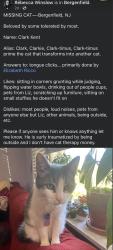 Lost Male Cat last seen Bergenfield NJ, Bergenfield, NJ 07621