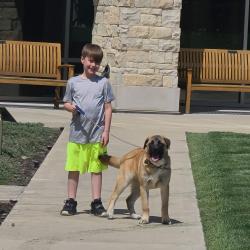 Lost Male Dog last seen Near mallard lane flippin ar 72634, Flippin, AR 72634