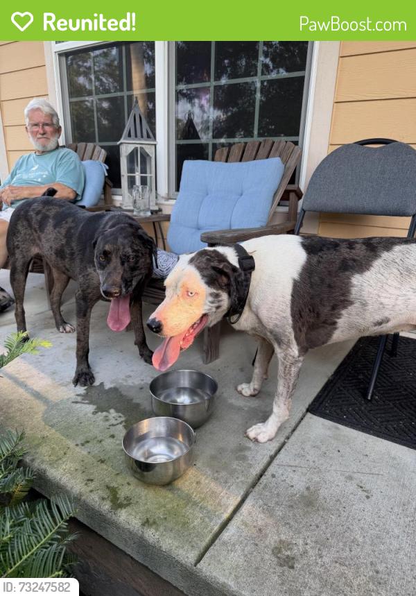 Reunited Male Dog last seen Dog leg rd, Lake Norman of Catawba, NC 28673