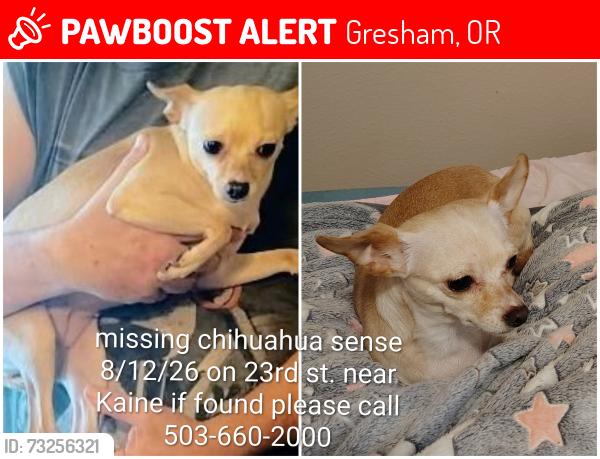 Lost Female Dog last seen Near Mt. HOOD community College, Gresham, OR 97030