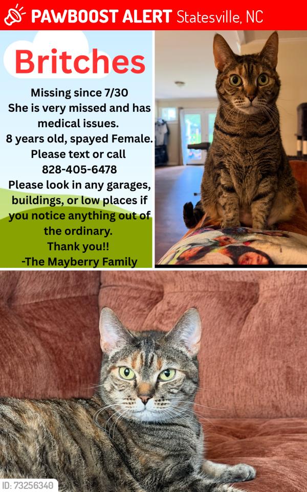 Lost Female Cat last seen Food Lion on Old Mountain Road, Statesville, NC 28625